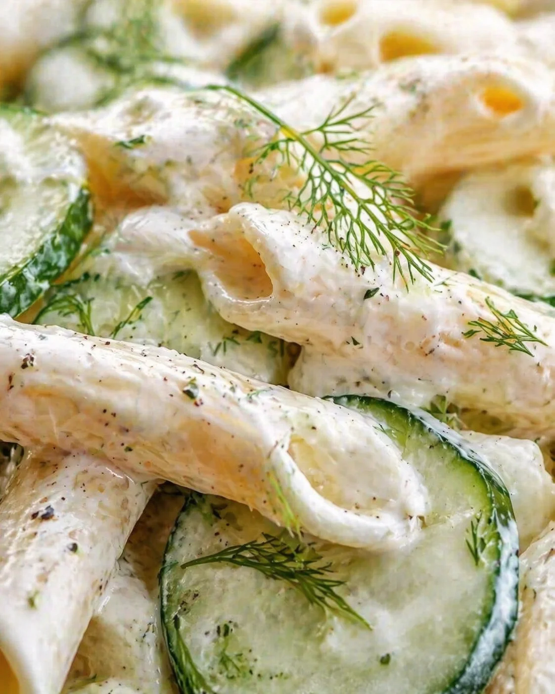 creamy dill-sauce coated cucumber rolls with dill garnish on a plated dish